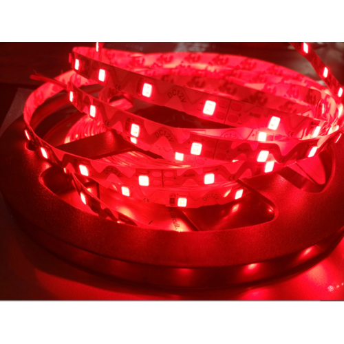 12V/24V SMD 2835 LED Strip Lights for Holiday Decorations
